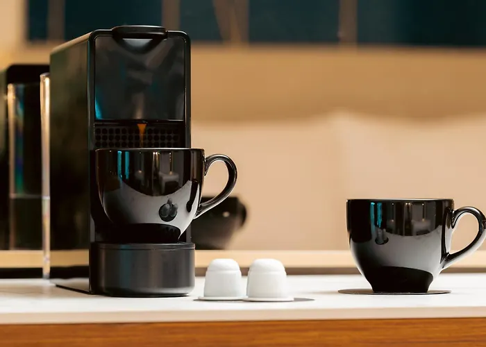 Hotel met hond in Punta Cana